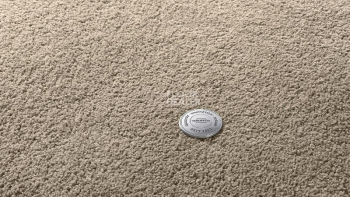 Ковролин Vorwerk Superior 1065/Viola Vorwerk 8h50 фото 1 | FLOORDEALER